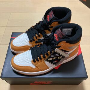 nike air jordan 1 ゴアテックス　25.5センチ　③