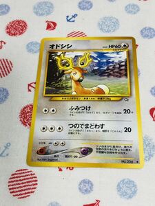 ポケモンカード 旧裏面 オドシシ