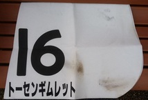 JRA 中山競馬場 レース実使用 ゼッケン 16番 トーセンギムレット 父ディープブリランテ 母エラドゥーラ 岩部純二 騎手 騎乗 馬主 島川隆哉_画像2