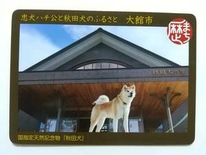 ●歴史まちづくりカード08●国指定天然記念物「秋田犬」忠犬ハチ公●秋田県大館市●歴まちカード●