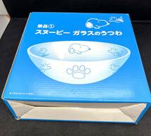 未使用☆LAWSON ローソン「スヌーピーガラスのうつわ」２個セット　非売品　箱付　食器　お皿/2707_画像1