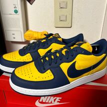 ナイキ NIKE ターミネーター LOW _画像1