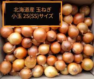 ★【送料込み】北海道産　玉ねぎ　訳あり品　２S(SS)サイズ小玉　約１０キロ 玉ねぎ