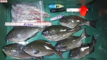 遠投カゴ釣り【2型クリア8号】桿体細胞に頼る魚の視覚では見えにくい！澄潮や明るい海中で目立たせない！_画像2