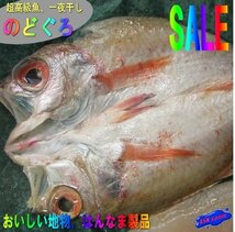 はんなま製品、超高級魚「のどぐろ開き5枚600g位」めちゃくちゃ脂のってます。_画像3