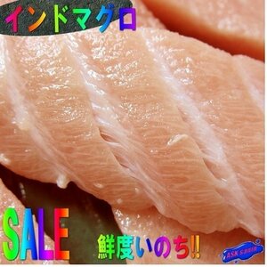 2本、脂のってます!!「インドまぐろ天身500g」...柵としとなります。