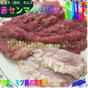 プロ用「国産赤センマイ780g」九州産牛（和牛、ホルス）、焼肉・BBQに、もちろんモツ鍋最高！！