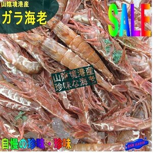 大量!!「ガラ海老5kg」お刺身用。船上冷凍- IQF- 境港自慢の逸品