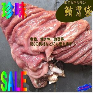 珍品・珍味!!まぐろ「胃袋1本、1.2kg」漁師の賄い原料