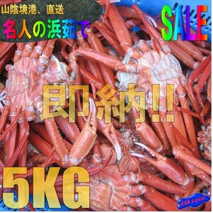 2箱★即納★名人の【浜茹で蟹AA-5kg】境港直送!! -15尾位で5kg位-.「冷凍紅蟹5kg」