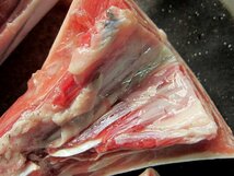 撃レアな逸品「喉肉 1kg程度(6・7本入り)」黒まぐろ　珍味/冷凍、境港産　...脂たっぷり_画像9