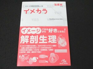 本 No2 00568 イメカラ イメージするカラダのしくみ 循環器 第1版 平成29年7月19日第1版第7刷 メディックメディア 稲田英一