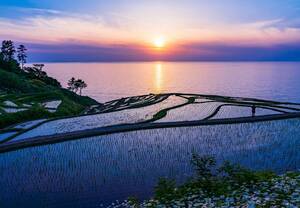 【震災支援】M49 白米千枚田/棚田/能登半島/石川県/日本の風景/アートパネル/ファブリックパネル/インテリアパネル/ポスター