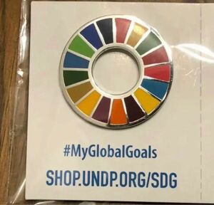 SDGs ピンバッジ　国連購入品　即発送
