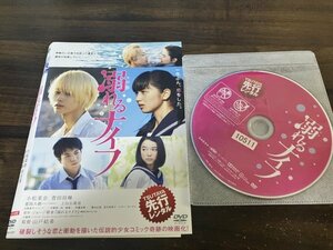 溺れるナイフ 　DVD　 小松菜奈 　 菅田将暉　即決　送料200円　123