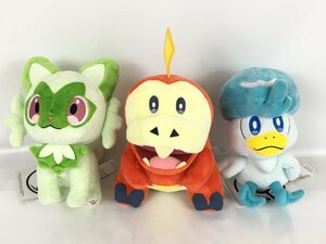 ポケモンセンター ポケモン ホゲータ ニャオハ クワッス ぬいぐるみ 3点セット まとめ 中古 wa◇70