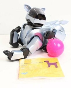 訳あり SONY アイボ ERS-210A ソニー AIBO ロボット ITZ5KI2R3AO2 -YR-A15-byebye