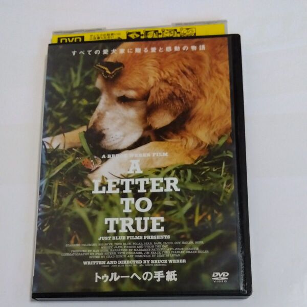 トゥルーへの手紙 ブルース・ウェバー監督作品DVDレンタル落ち商品