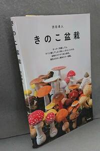 渋谷卓人　きのこ盆栽　築地書館