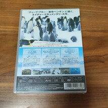 新品 未開封品 DVD 皇帝ペンギン プレミアムエディション ペンギン物語 2本セット_画像7