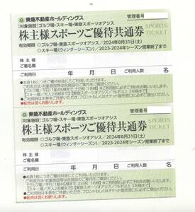 東急不動産ホールディングス 株主様スポーツご優待共通券 2枚