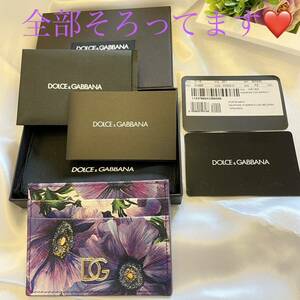 未使用★DOLCE&GABBANA★ドルチェ&ガッパーナ カードケース