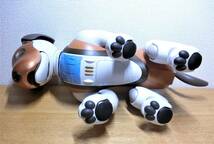 ジャンク ソニー アイボ ERS-1000 チョコエディション Sony/AIBO/バーチャルロボット本体_画像8