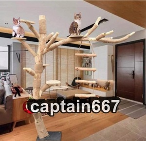  cat. action tree cat tower natural wood cat. Jump cat mountain climbing tower cat. action tree platform wooden cat. playing region height 1.5m
