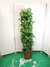 ha2342-5 131再【配送不可】ポトス風 観葉植物 造花 フェイクグリーン インテリア 置物 石付_画像1