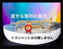 条件付送料込み1500円即決♪到着後すぐ直せます♪携帯用 トランペット 第2抜差管の 凹み直しツール 無保証品 修復ツール 凹出しハンマー付_画像5