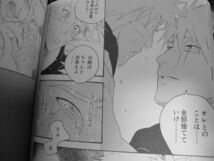 NARUTO■264p再録■アンコール5/カカナル■先生っ!!(sensei!!)/i_画像10