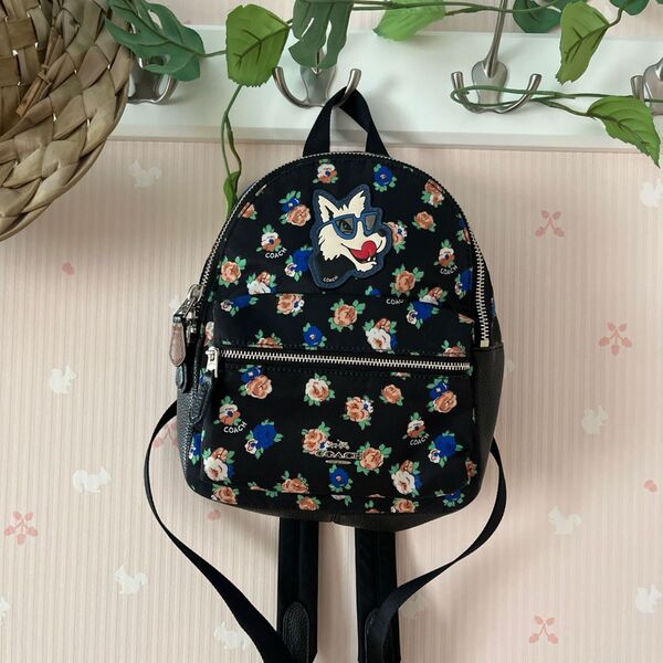 美品!COACH ミニリュック 軽量 未使用