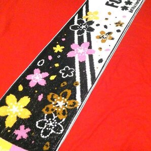 AKB48 春コンin国立競技場 ロングマフラータオル