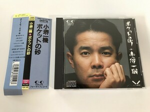 TE485 小堺一機 / ポケットの砂 【CD】 915