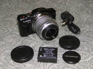 ◆ 作動確認 ◆ パナソニック Panasonic LUMIX GF3 ズームレンズセット