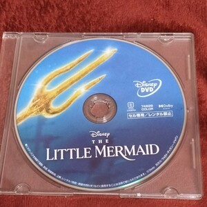 ◆ディズニー　Disny　The Little Mermaid　リトルマーメイド　DVD　実写　映画　ハリー・ベイリー ジョナ・ハウアー＝キング 　ドラマ