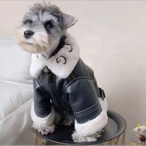 犬服　ライダース　小型犬　超小型犬