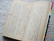 謎の地底王国アガルタ ヒトラーも熱中させた"ブリル・パワー"とは何か? (徳間書店) アレック・マクレラン、高橋良典監訳_画像3