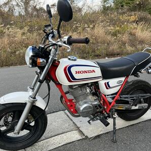 エイプ100 ディスクブレーキ 検索用 KSR110 グロム125 モンキー ゴリラ Z125プロ XR100 Dトラッカー125 クロスカブ ハンターカブの画像1