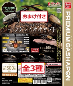 送料無料 いきもの大図鑑アドバンス ヘラクレスオオカブト 全3種 プレミアムガシャポン カブトムシ 昆虫 ガチャ ヒラタクワガタ