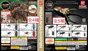 送料無料 いきもの大図鑑アドバンス カミキリムシ 全4種 くわがた07 全5種 ガシャポン ゴマダラカミキリ ガチャ テナガカミキリ