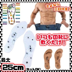 ダイエット インソール 足つぼ フットマッサージ 中敷き 24cm 25cm カットOK 石畳 磁気 姿勢改善 脚痩せ むくみ 健康 血行促進 冷え性