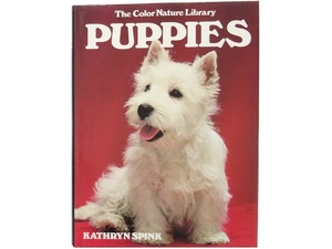 洋書◆子犬の写真集 本 イヌ いぬ キャサリン・スピンク