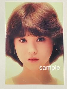 松田聖子　L判　写真　アイドル　☆6880