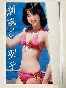  Matsuda Seiko L stamp photograph idol *6961