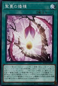 遊戯王 ノーマル 魔法 1枚 聖蔓の播種 BODE