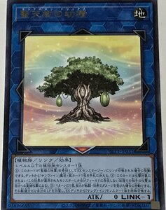 遊戯王 レア リンク 1枚 聖天樹の幼精 SLT1