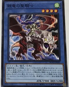 遊戯王 ノーマル 儀式モンスター 1枚 鎧竜の聖騎士 BLVO