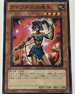 遊戯王 ノーマル 効果モンスター 1枚 アマゾネス訓練生 DREV