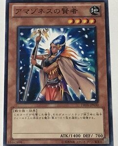 遊戯王 ノーマル 効果モンスター 1枚 アマゾネスの賢者 DREV